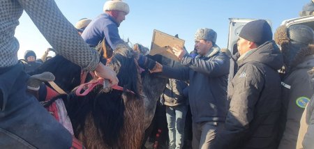 Олис Даугустоғ маҳалласи ёшлари сектор раҳбарининг доимий эътиборида!