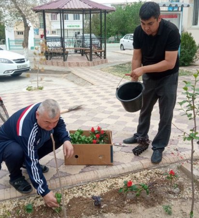 Zarafshon shahar mahallalarida yalpiz va rayhon gul ko‘chatlari o‘tqazilmoqda.