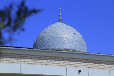 28-iyun - Qurbon hayiti munosabati bilan Zarafshon jome masjidida hamda 1-va 2-sonli qabristonlarda obodonlashtirish, ko'kalamzorlashtirish va oqlash ishlari tashkil etildi.