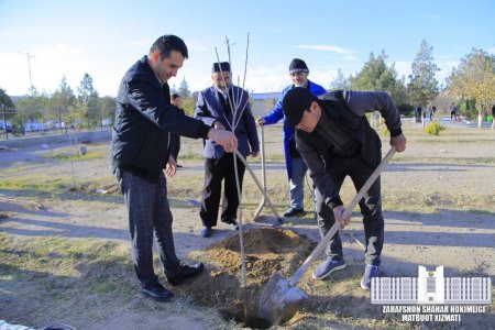 "YASHIL MAKON" LOYIHASI DOIRASIDA ZARAFSHON JOME MASJIDIGA DARAXT KO‘CHATLAR EKILDI