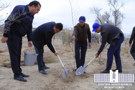 "ASAKA BANK" BOG'I TASHKIL ETILDI